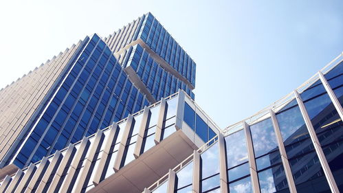 为什么项目团队都在使用项目管理工具 以信息技术咨询服务为例
